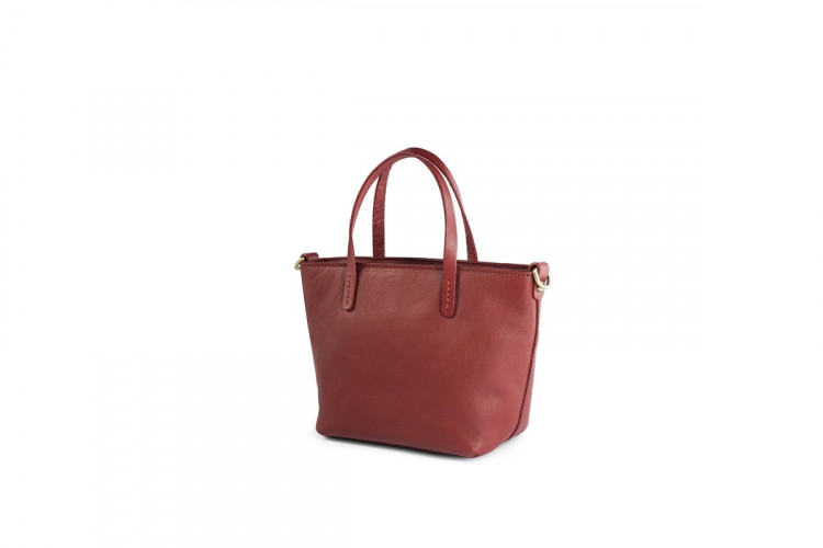 Ảnh Túi Mini Tote